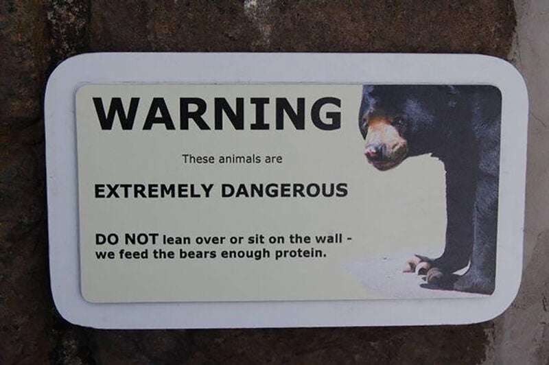 Bear Bait