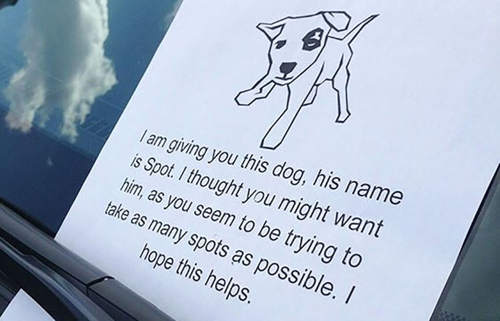 spot.jpg