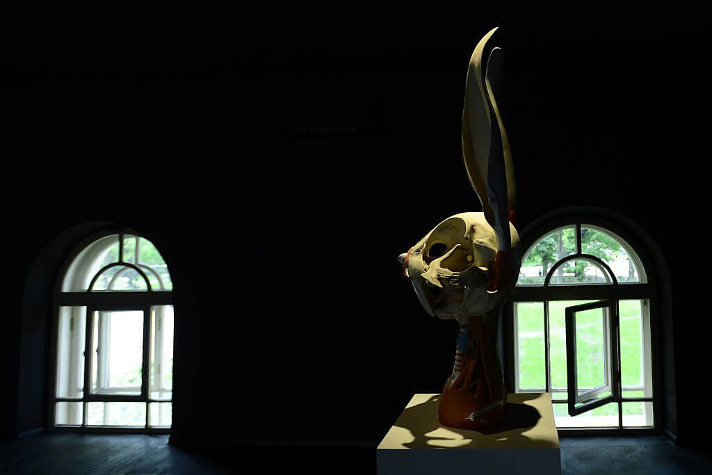 animatus-bugs-bunny-38836-69292.jpg