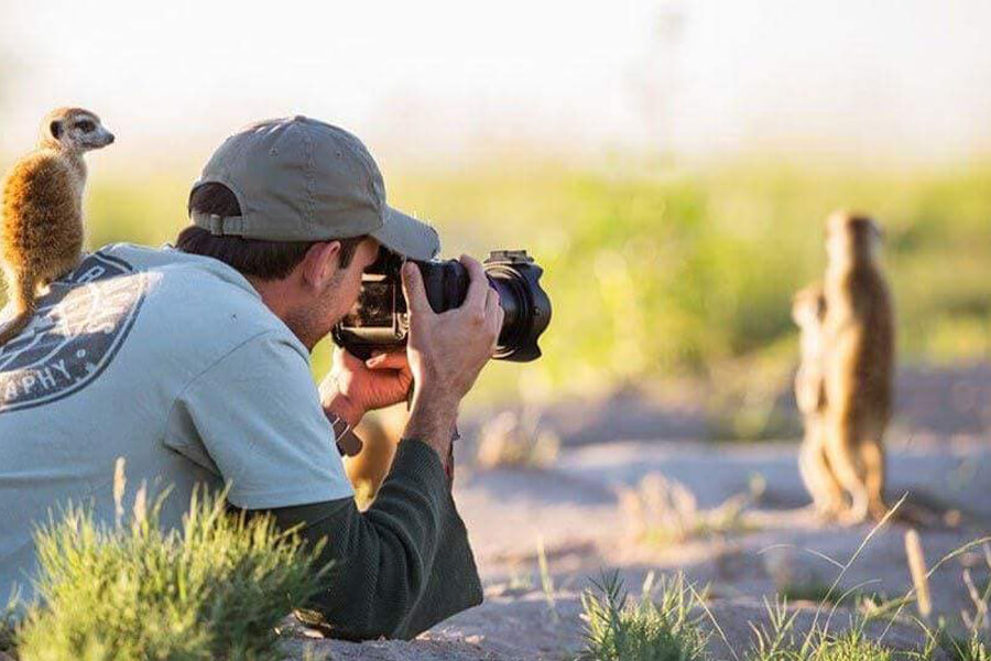 lemur tells friends how to pose for photo