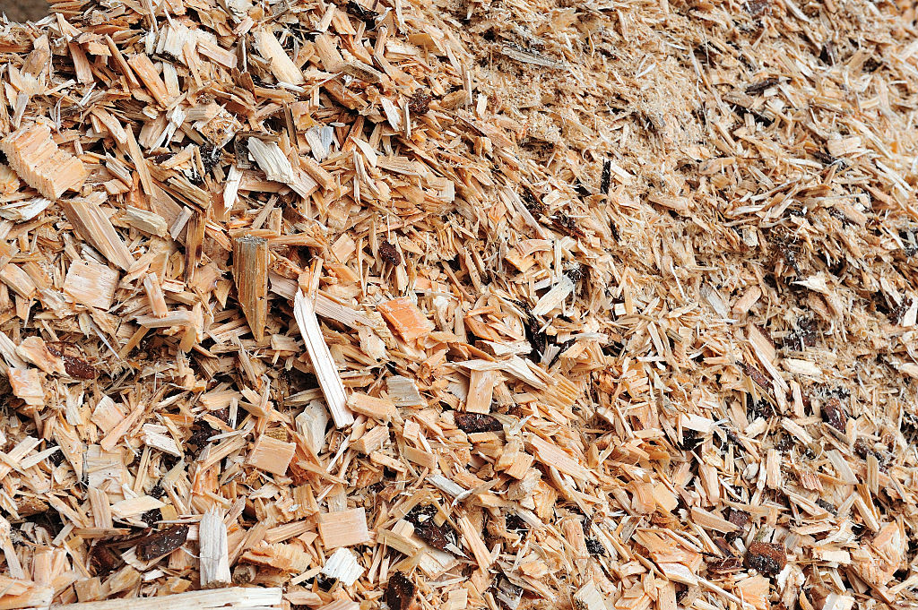 fox rescue with woodchips for bedding and insulation