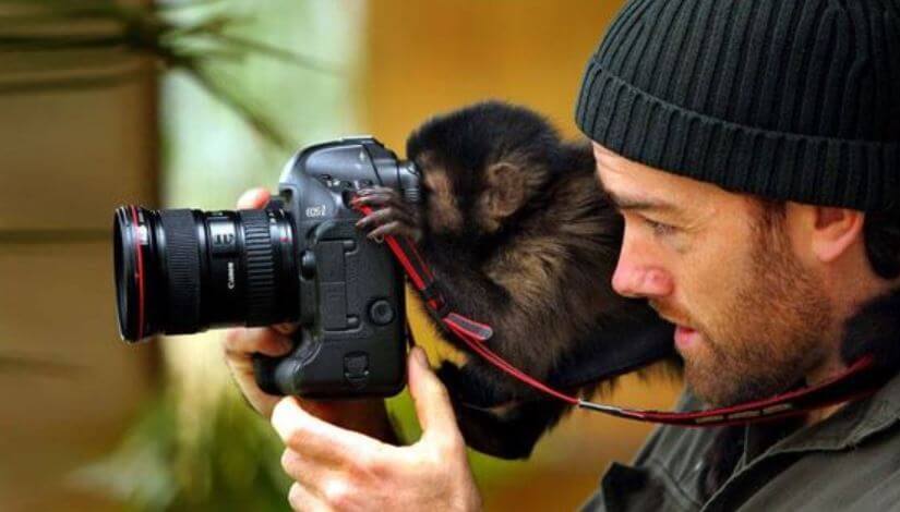baby monkey with camera