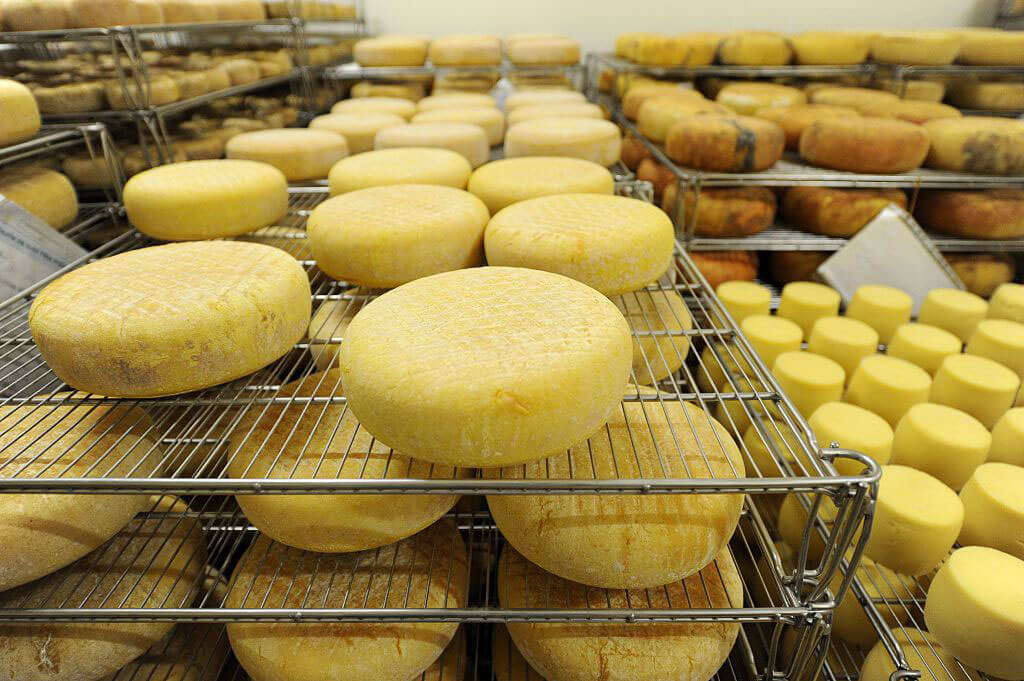 cheese-unhealthy-50965-52750.jpg