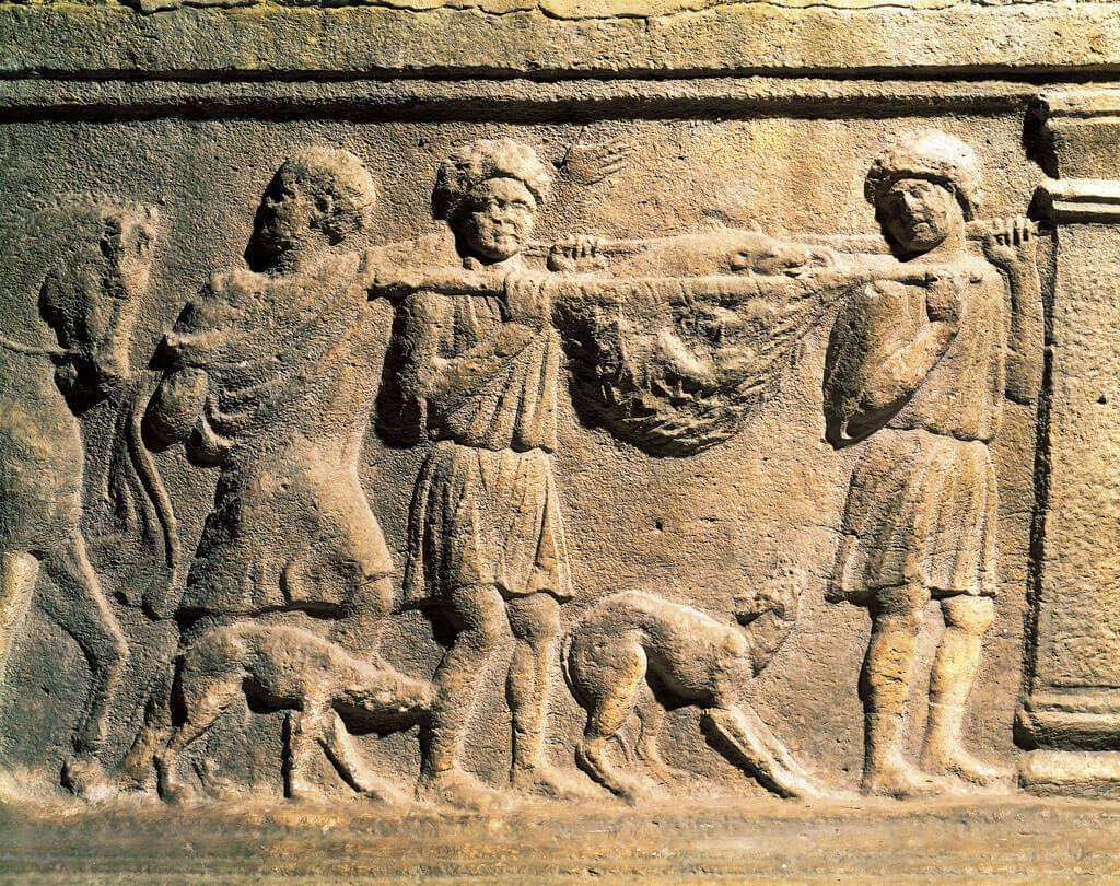 roman-pets-34652-55578