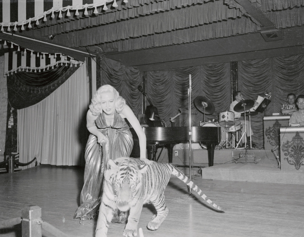 vintage vegas 14