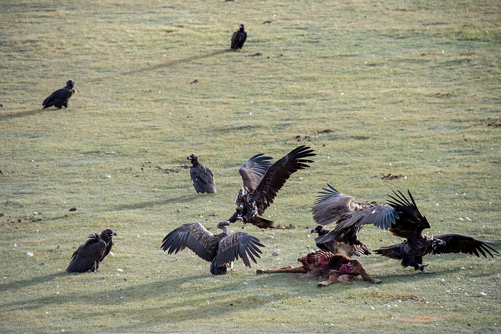 GettyImages-496221914