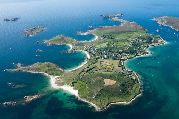 18 Traduc Foca Buceador 2