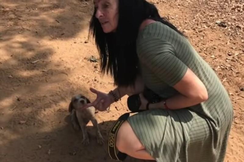 jenny desmond found the dying puppy in liberia