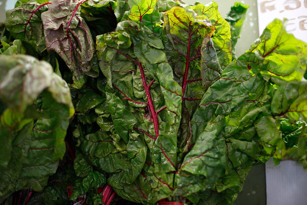 Swiss Chard 