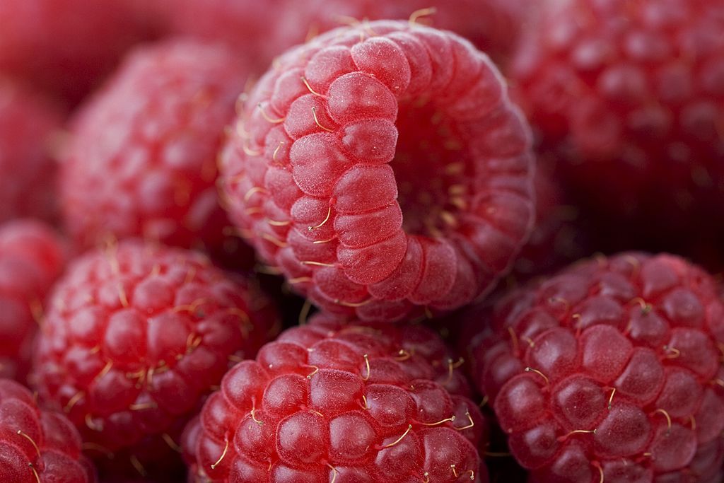 Raspberries 