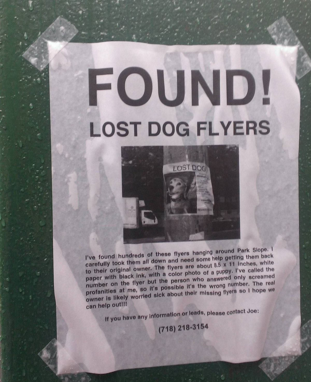 lost dog flyers have been found