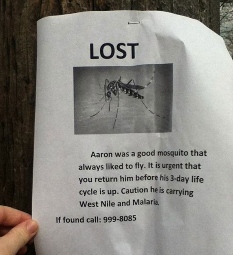 Aaron is a missing mosquito