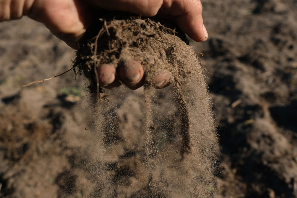 Man holding soil in his hand