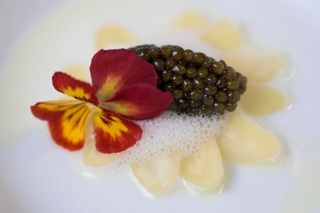 A small serving of caviar is decorated with a flower