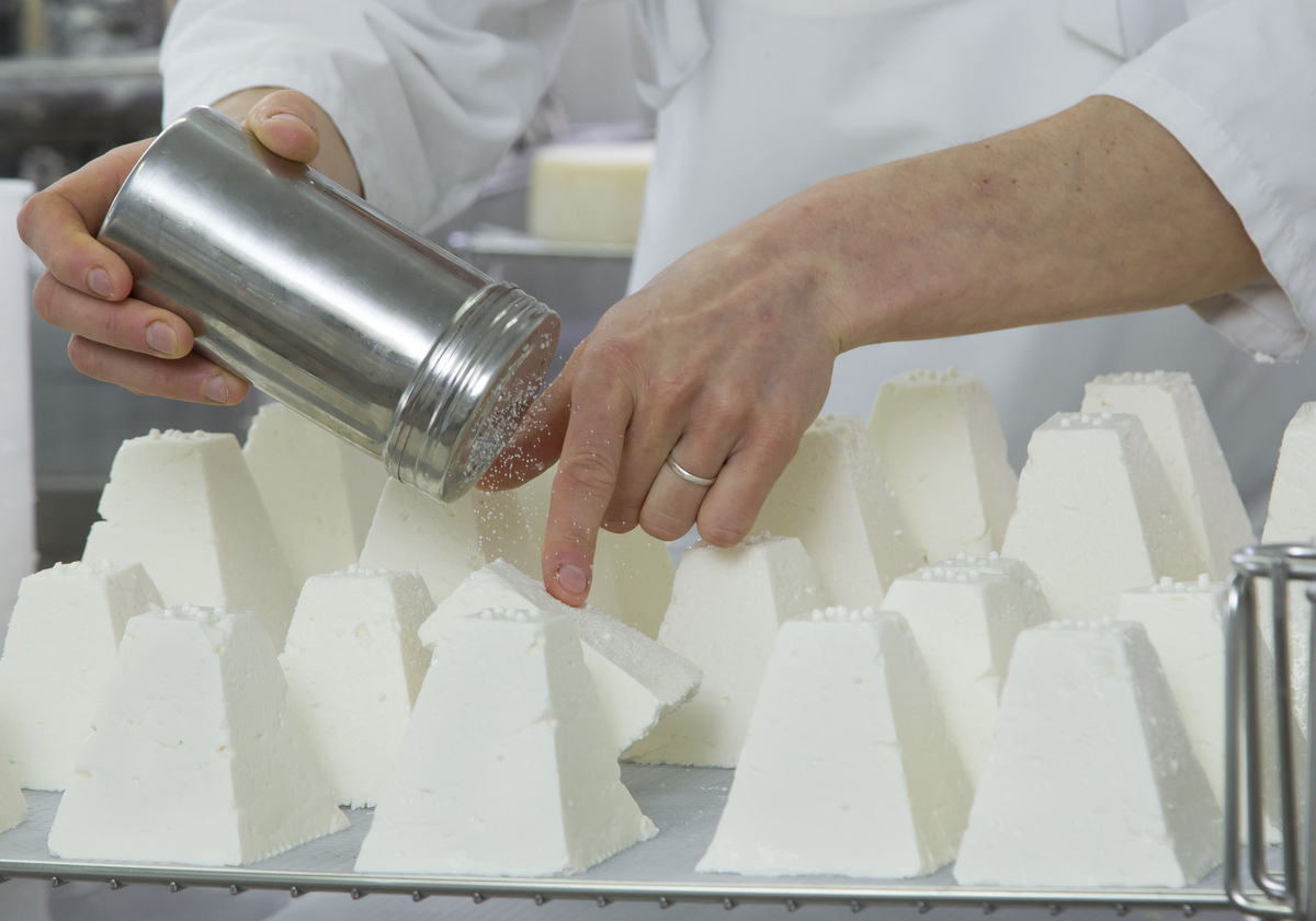 Chef salts goat cheese at the farm 'La Ferme du Petit Quenneval' in Wirwignes