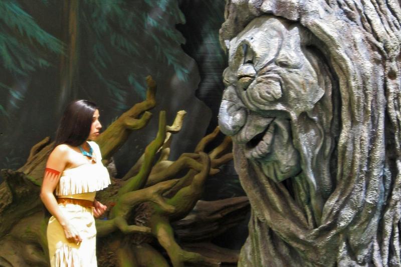 Grandmother_Willow-26547