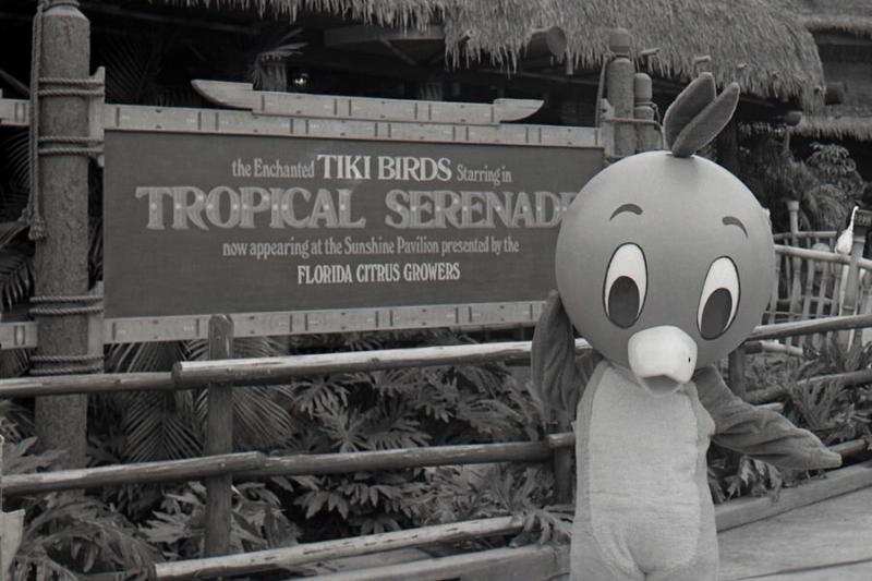 Orange_Bird_hanging_out_in_Adventureland_back_in_J-45520