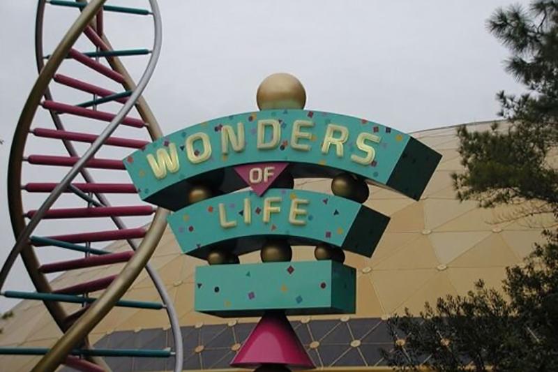 Wonders_of_Life_The_Sad_But_True_Story_of_Epcot_s_-56899