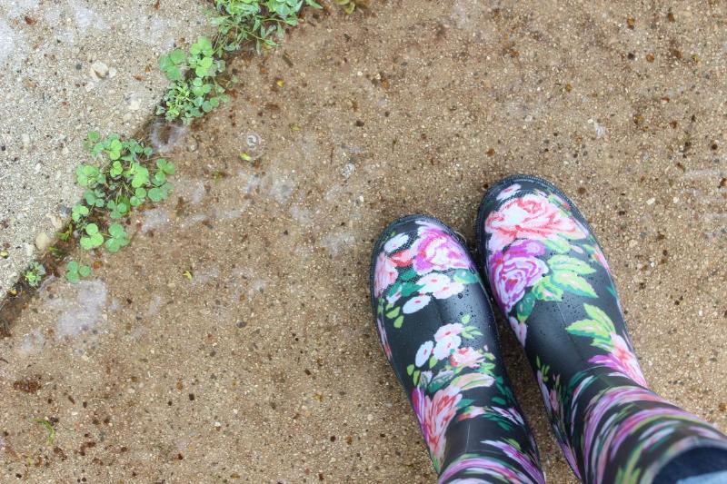 Person stands by weeds growing out of a crack in the sidewalk