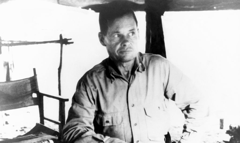 Puller in the Solomon Islands 