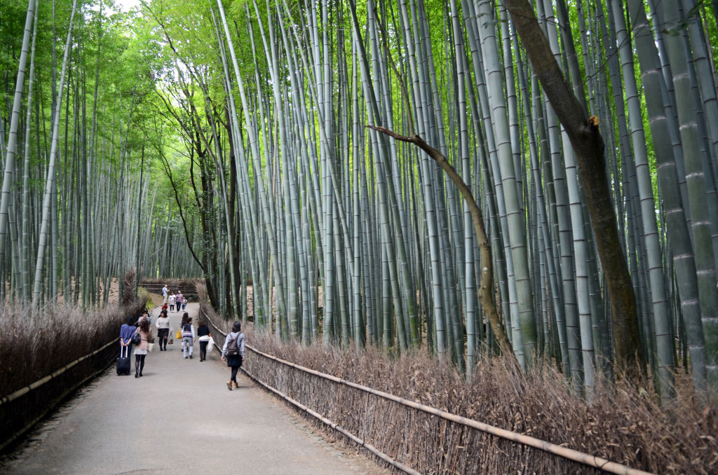 Be Mindful Of Defacing World Heritage Locations