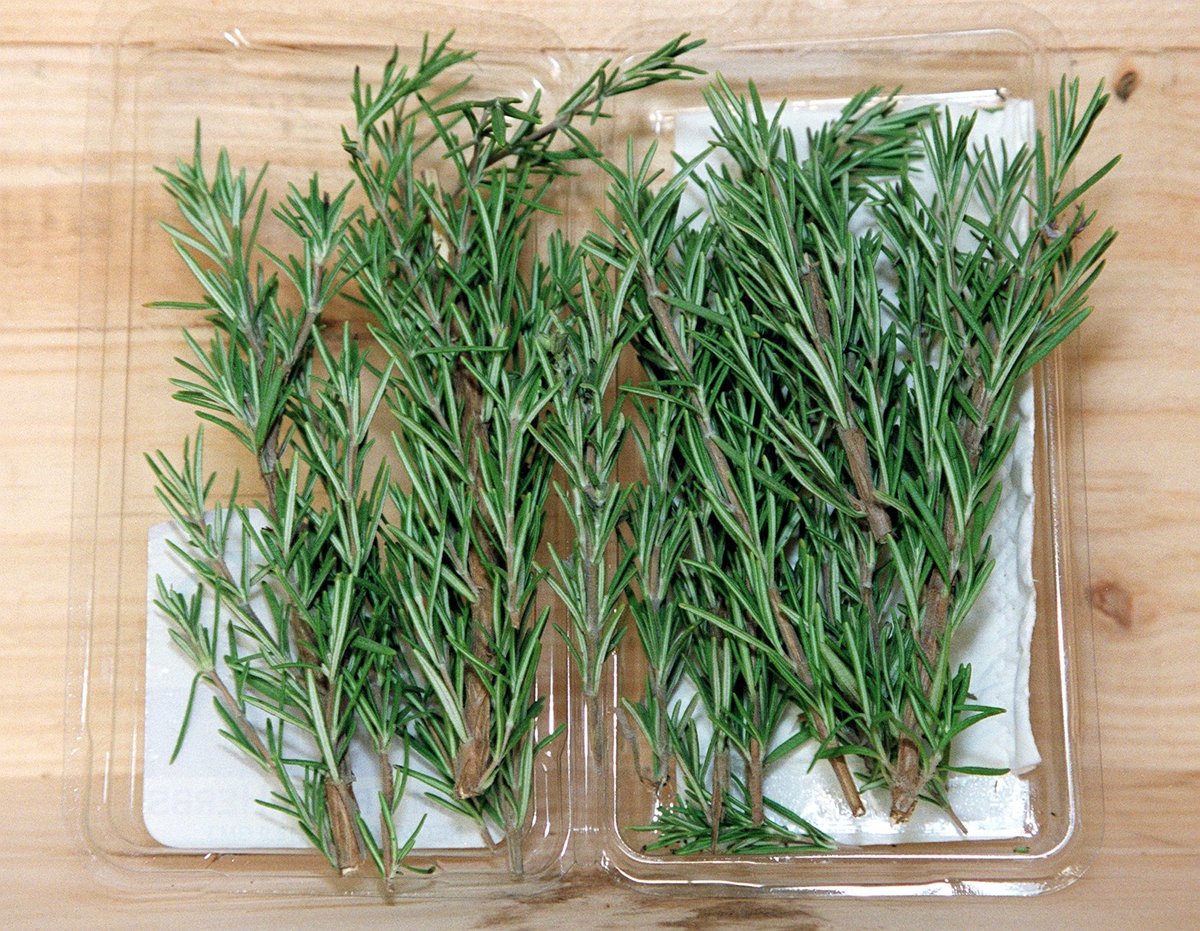 Fresh rosemary sits in an open plastic box.
