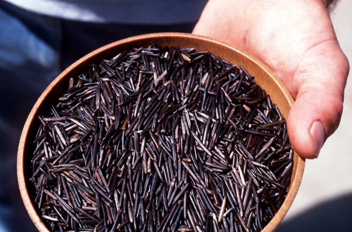 Person holds a bowl of wild rice.