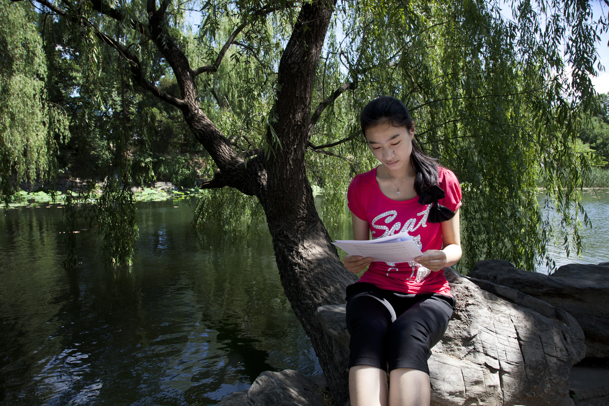 Student studies her report under a weeping willow tree