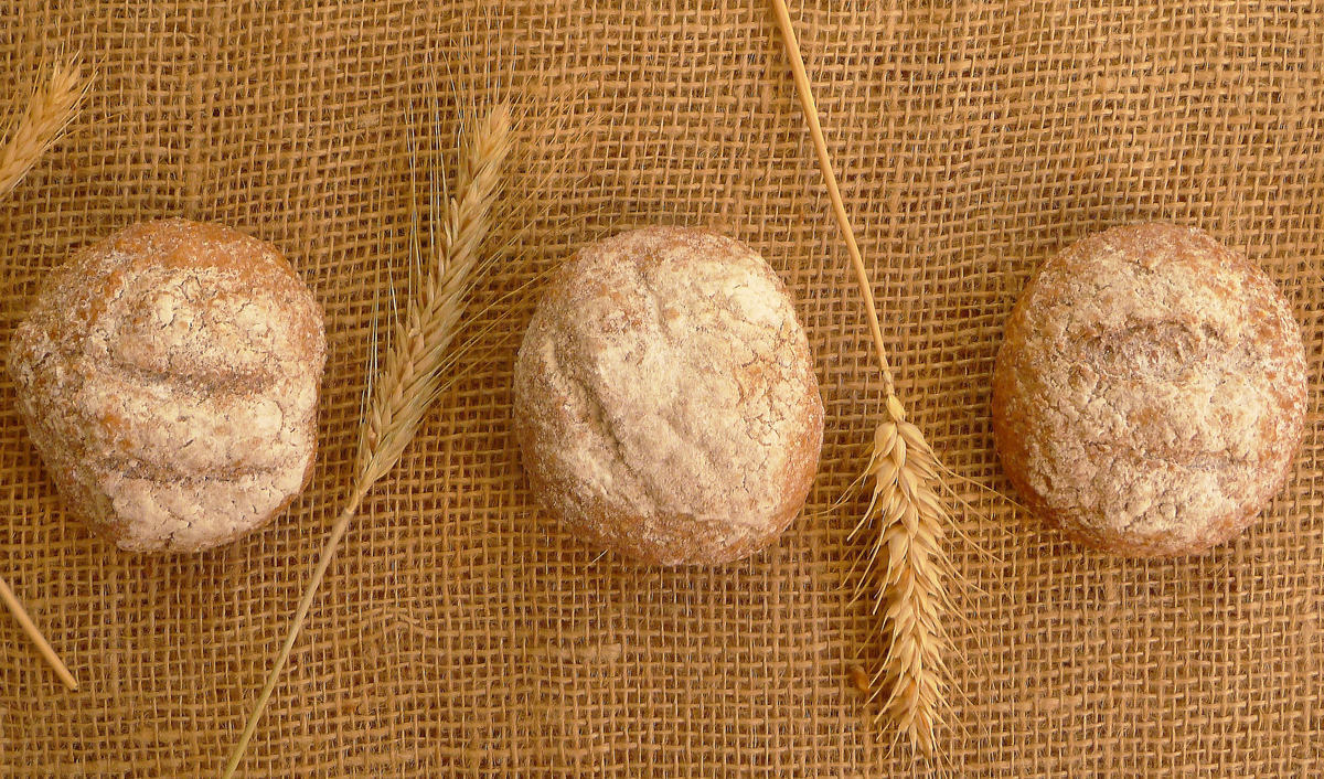 Small loaves of homemade whole wheat bread are aligned on a burlap sack.