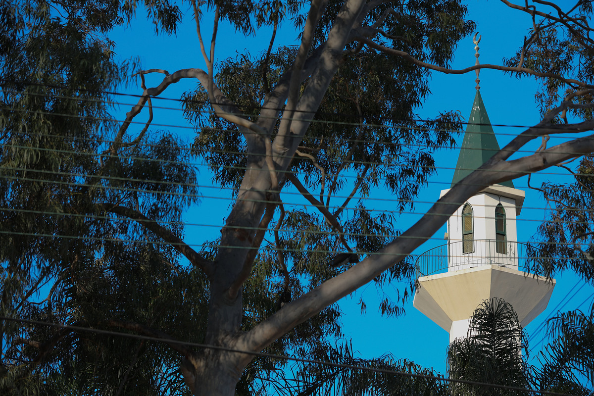 The minaret of the Lakemba Mosque photographed through Australian eucalyptus trees