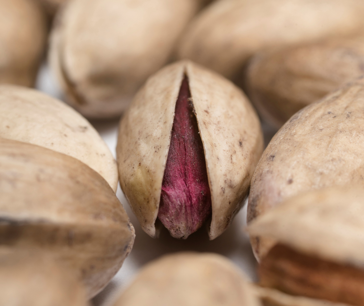 One pistachio is slightly open among a wave of pistachios.