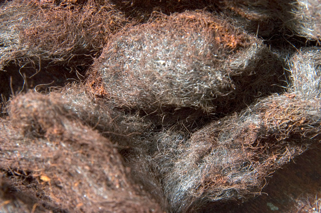 Mess of rusty steel wool 