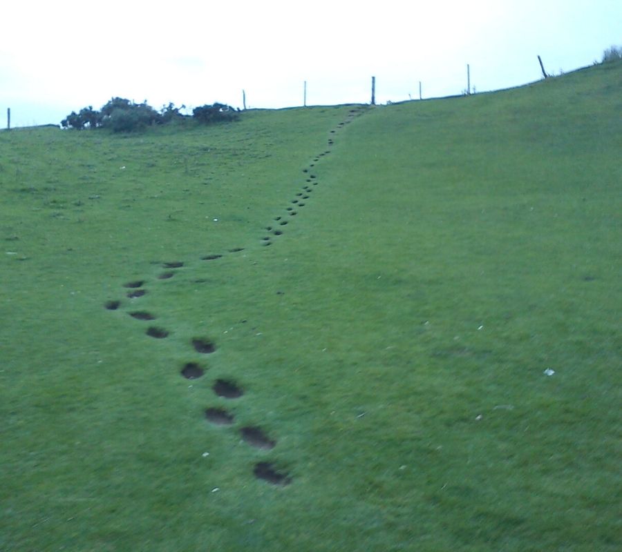 worn down imprints where children walk