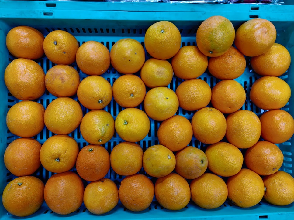 A blue plastic crate is filled with oranges.