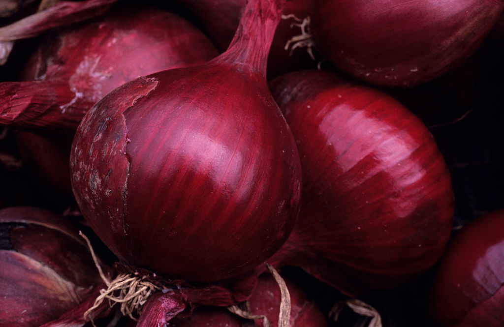 red-onion-diabetics-629374399