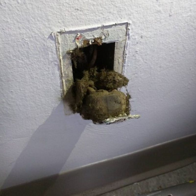 sparking outlet turns out to be moldy inslation