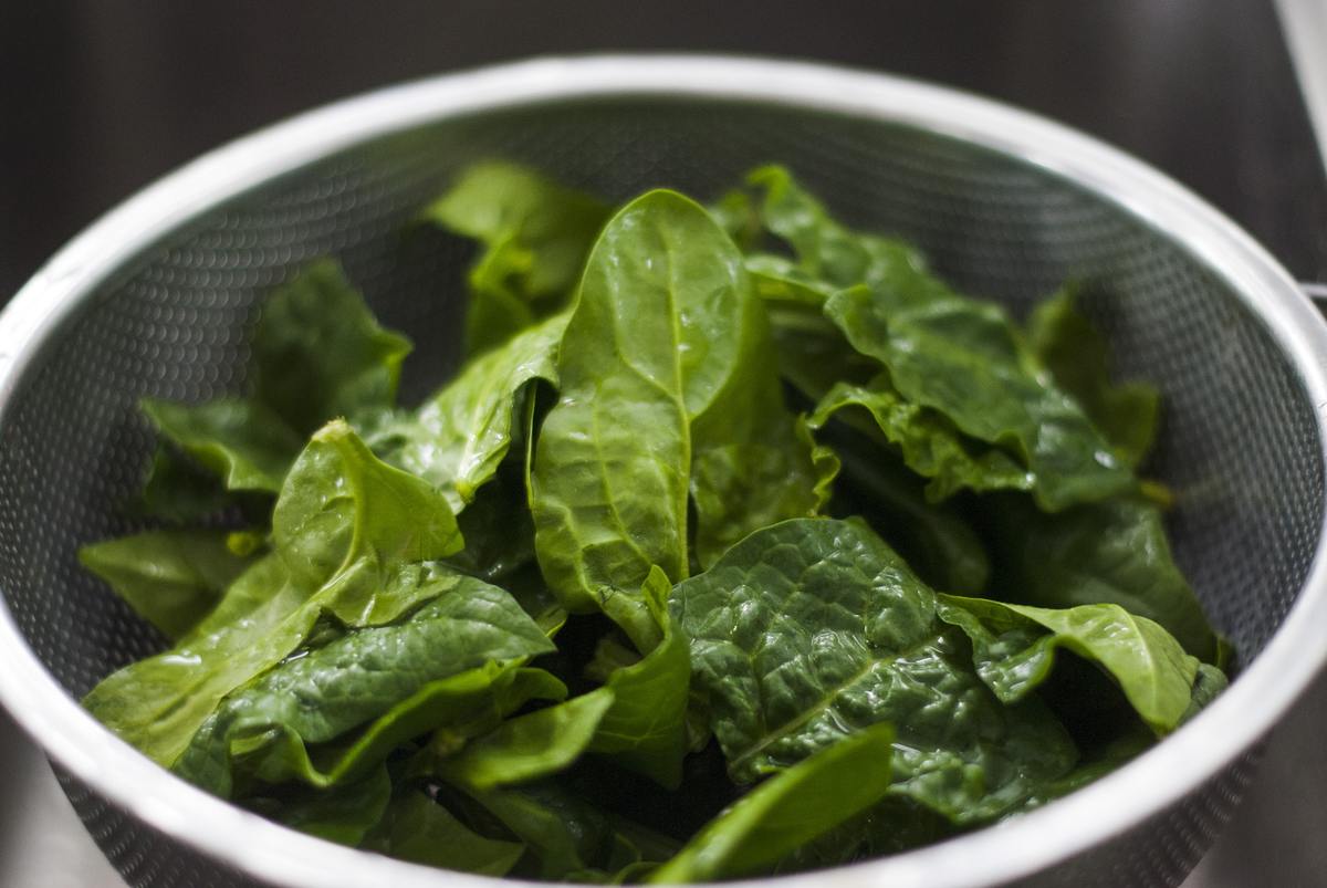 Freshly washed spinach sits in a strainer.