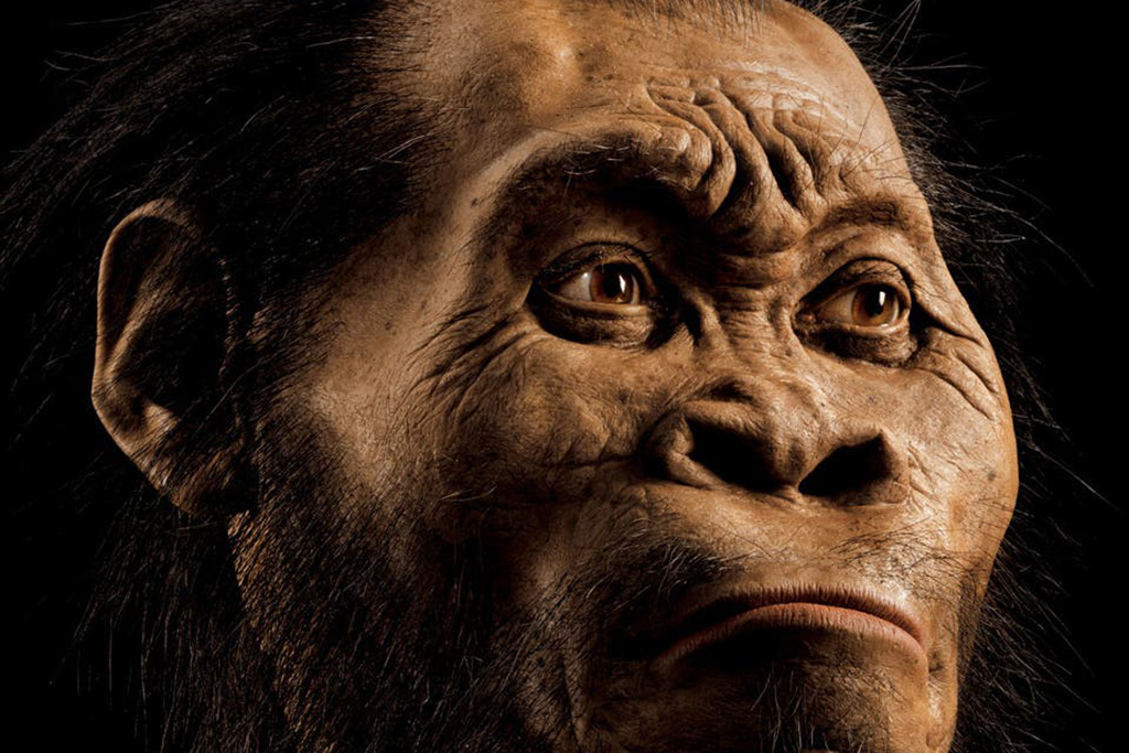 Replica of early human 