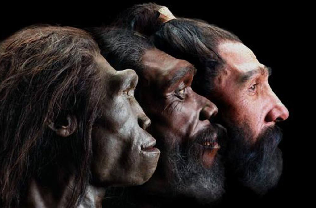 Transition in skin color 