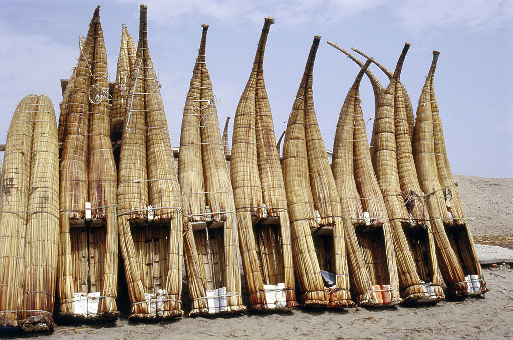 Reed boats 