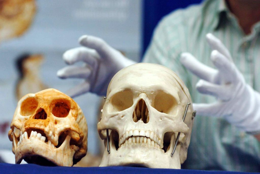 Hobbit and human skull 