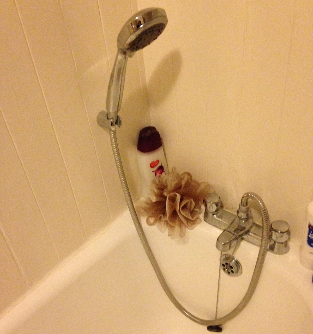 shower head installed low