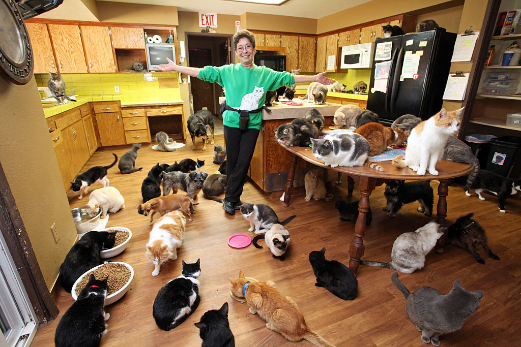 A cat owners spreads her arms to show off the dozens of cats in her home.