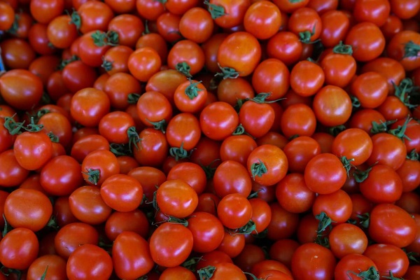 23 Alimentos Saludables 7