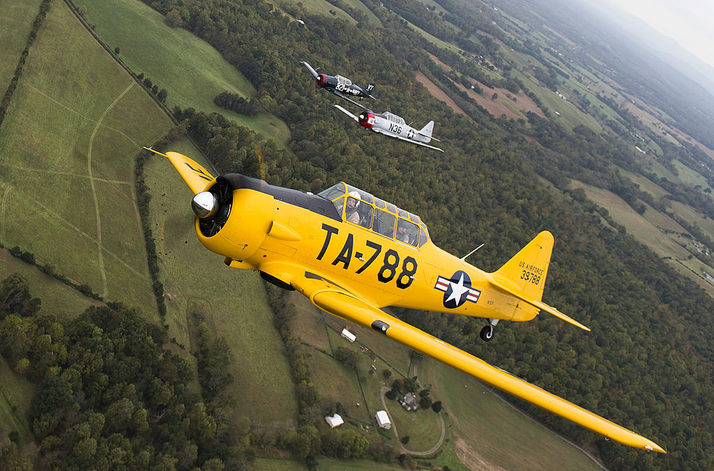 a yellow T-6-184055858