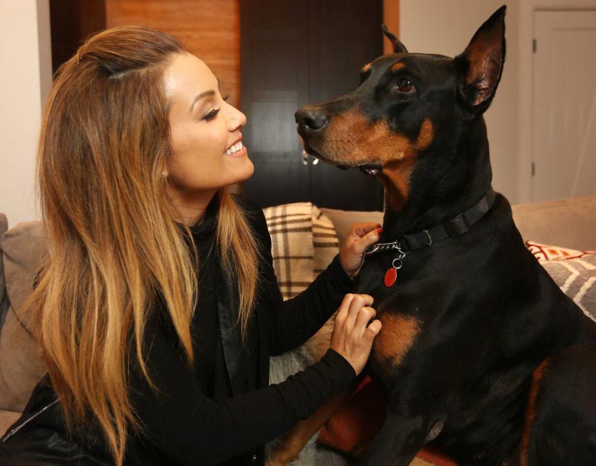 A woman pets her Doberman while they sit on the couch.