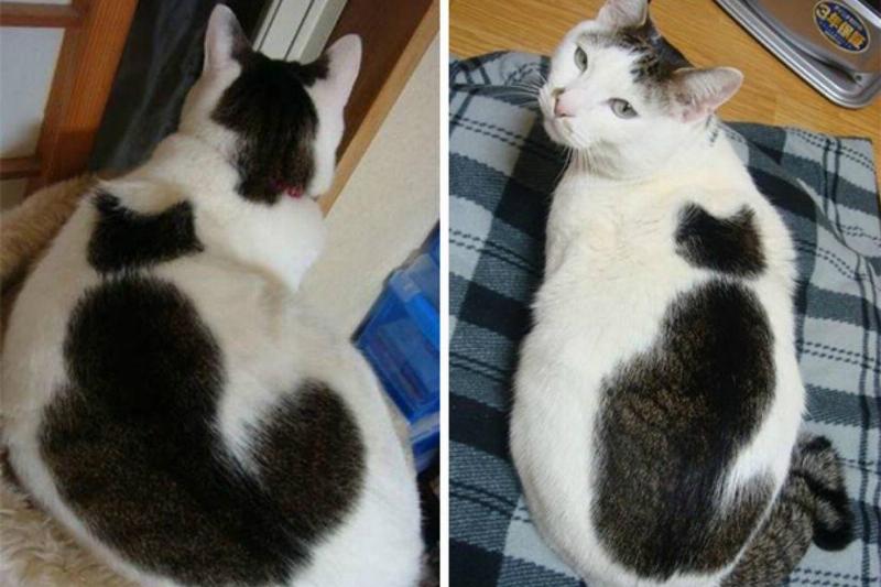 005-two-for-the-price-of-one-2562627-96193