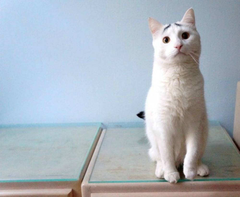 018-i-don-t-know-why-you-are-so-interested-2563657-61114