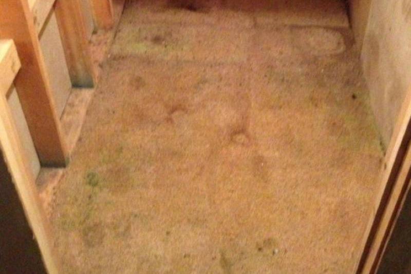 The Carpet Was Covering Something