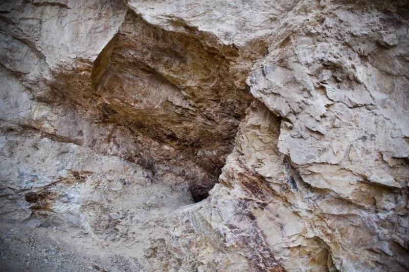 The Purchase Was A Bust